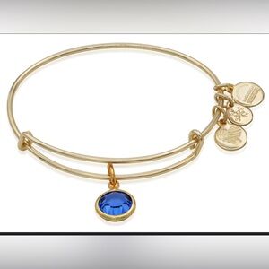 Alex + Ani September Birthstone Charm Bangle,‎ Sapphire